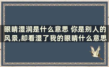 眼睛湿润是什么意思 你是别人的风景,却看湿了我的眼睛什么意思